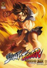 Street Fighter Round One - Fire Series Cover B